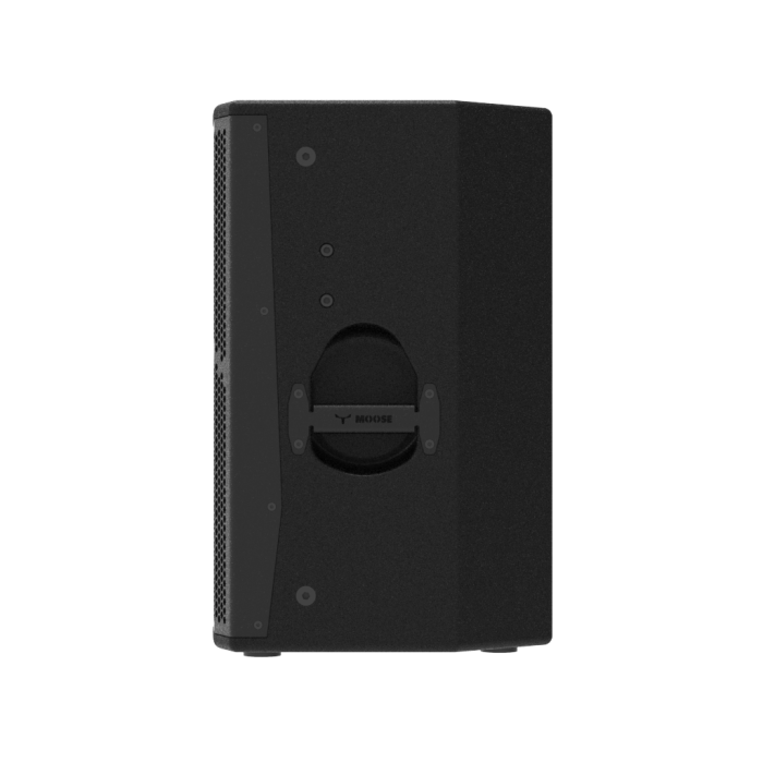 Фото Активная акустическая система MOOSE C10A