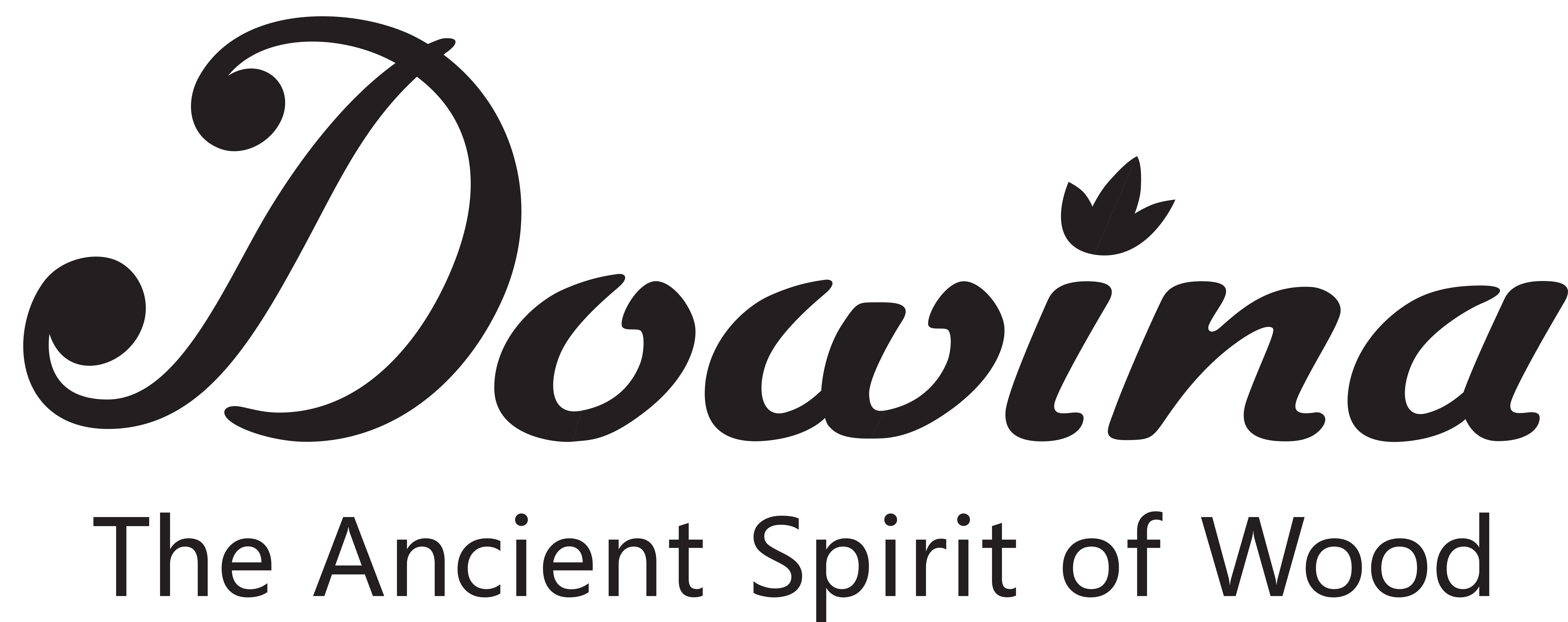 DOWINA
