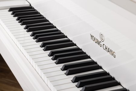 Фото Акустический рояль Young Chang YC168E WHP