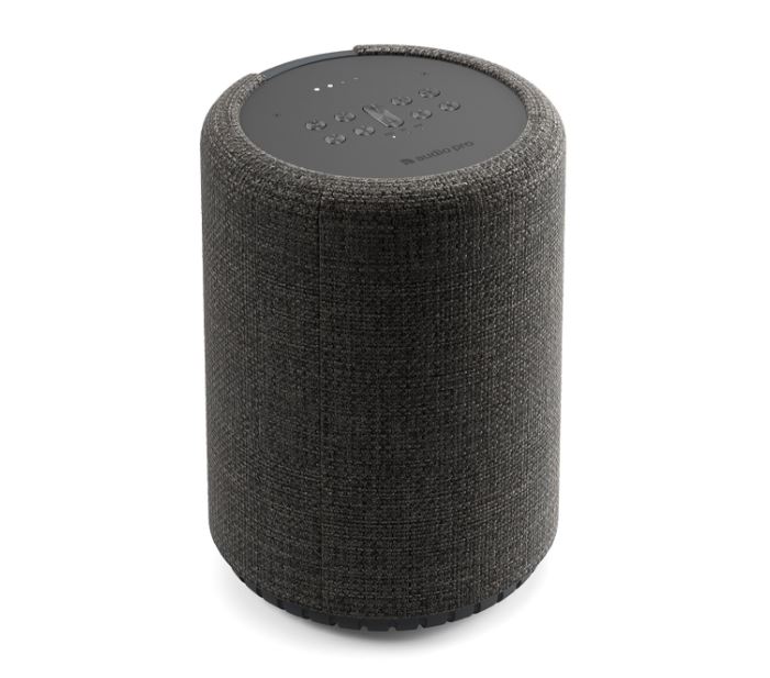 Фото Портативная акустика AUDIO PRO G10 Dark Grey