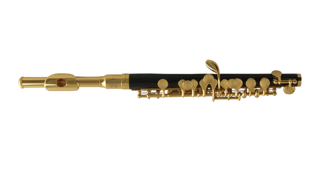 Фото Флейта пикколо WISEMANN DPL-300