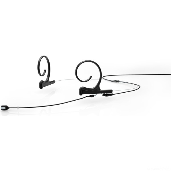 Фото DPA FIOB00-2