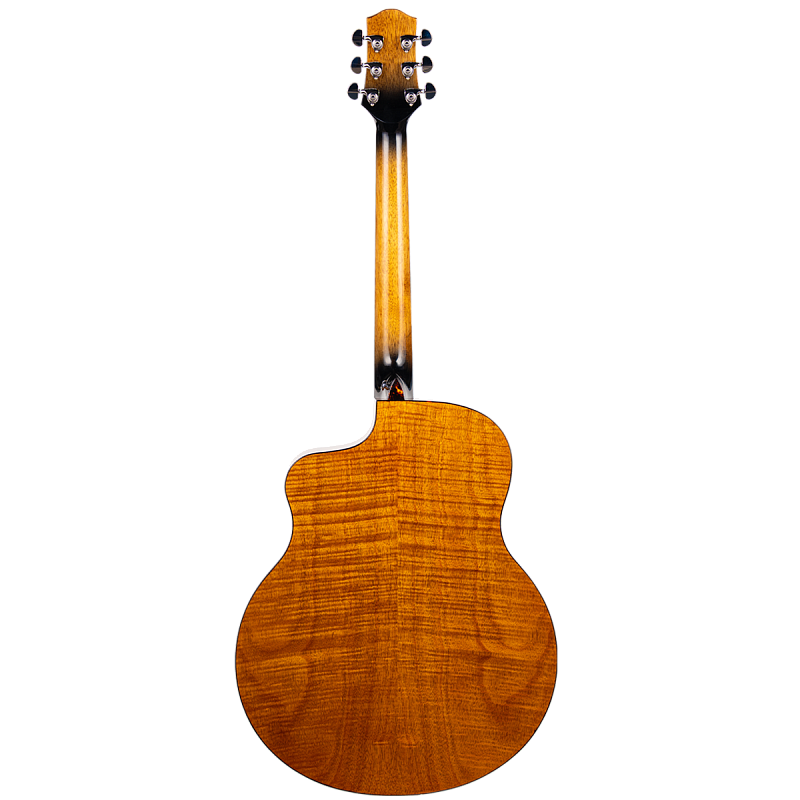 Фото Акустическая гитара Aion F30