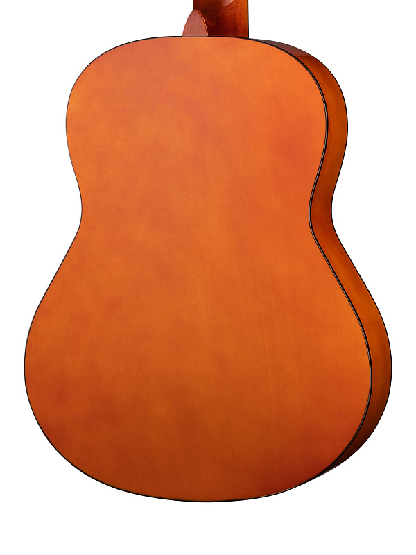 Фото Классическая гитара Caraya C957-N