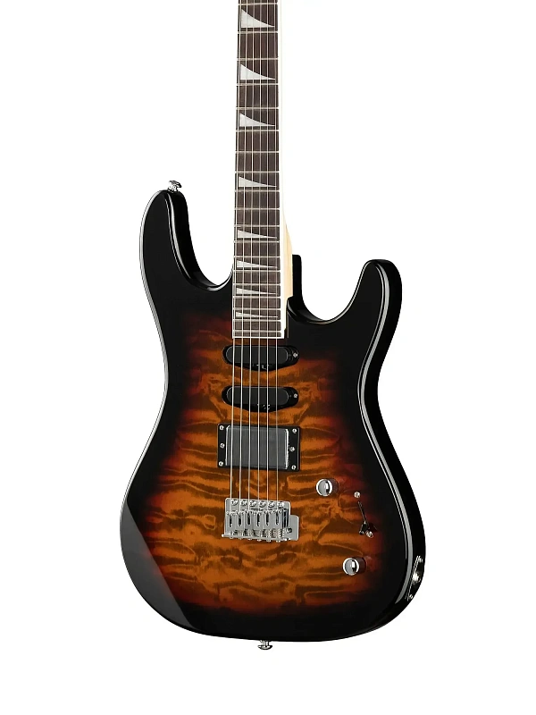 Фото Электрогитара Caraya E228BS