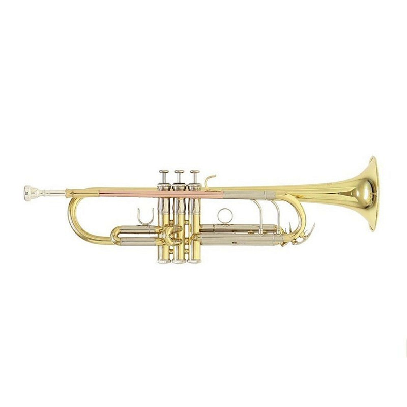 Фото Roy Benson TR-202G Bb