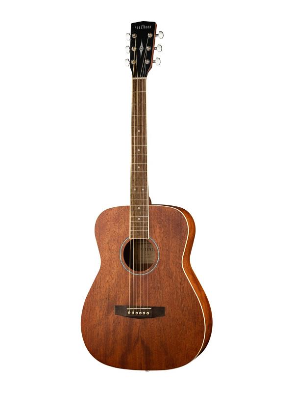 Фото Акустическая гитара Parkwood PF51M-WBAG-OP