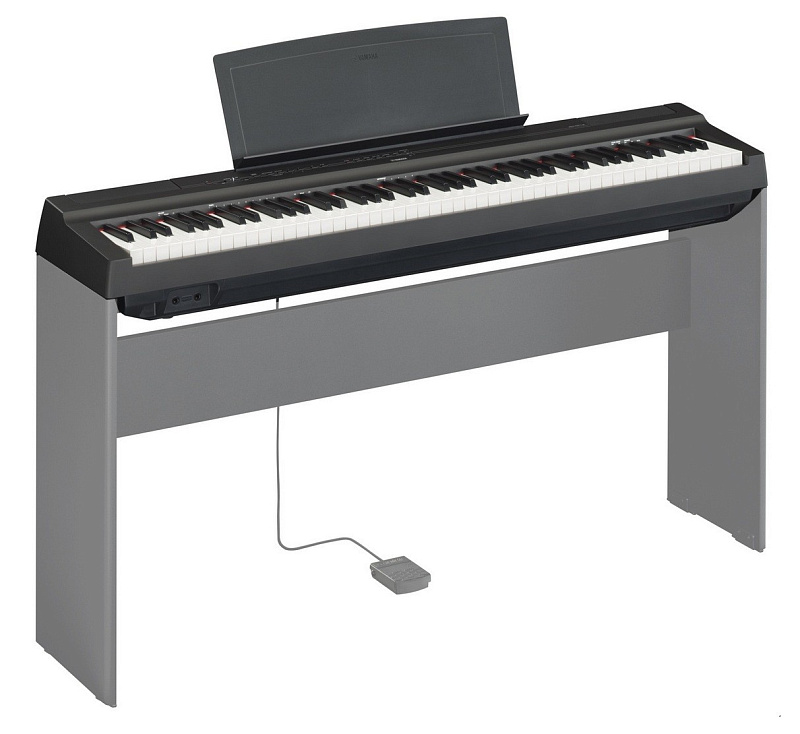 Фото Yamaha P-125B