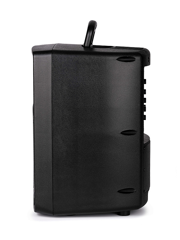 Фото Акустическая система Leem PR-8