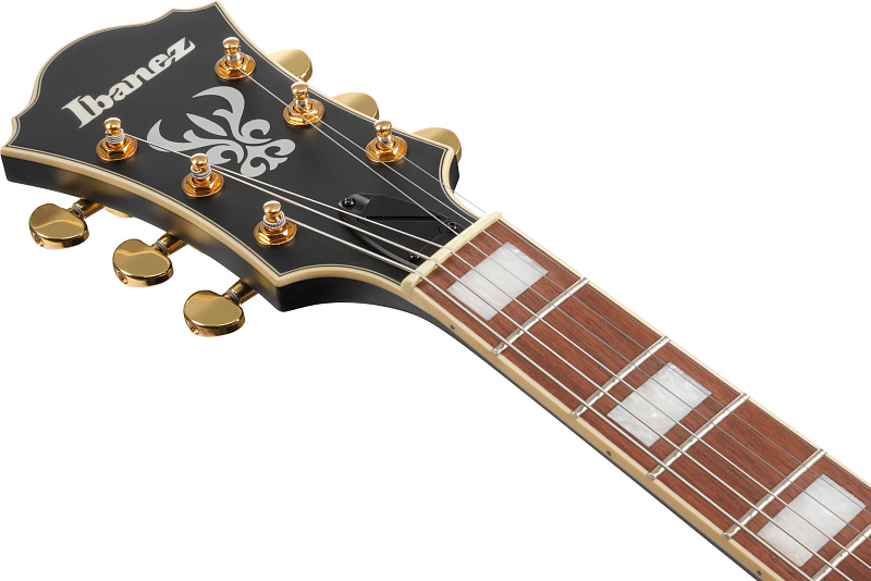 Фото Электрогитара IBANEZ AF75G-BKF