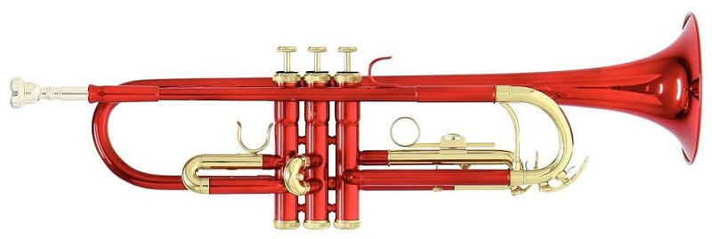 Фото ROY BENSON TR-101R Bb