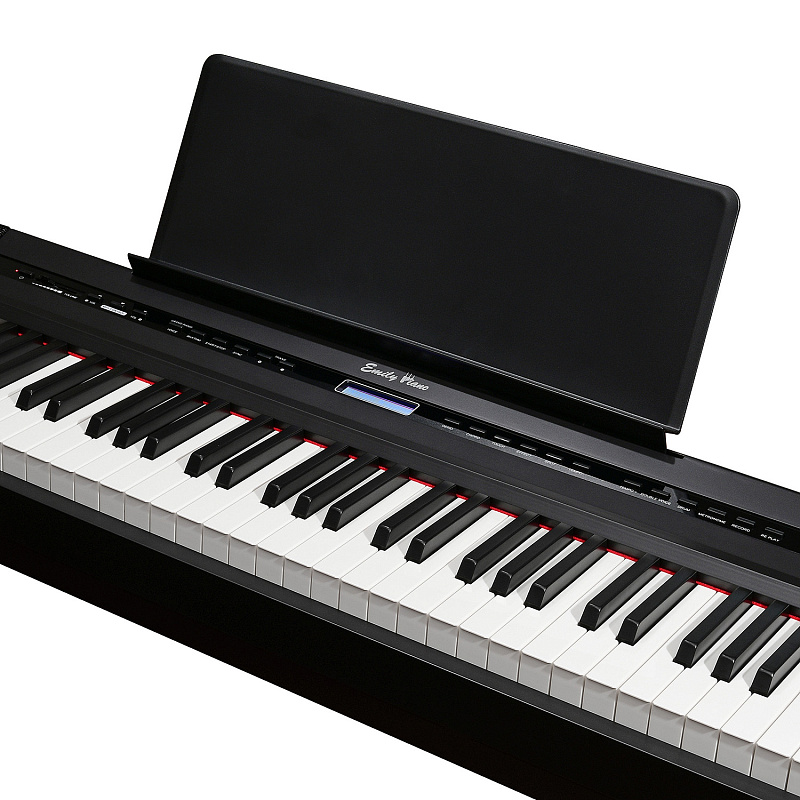 Фото Цифровое фортепиано EMILY PIANO D-20 BK
