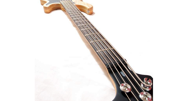 Фото Бас-гитара Inspector Basstion-nat
