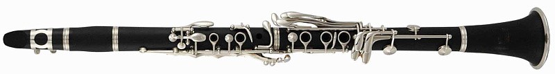 Фото ROY BENSON CB-317 Bb