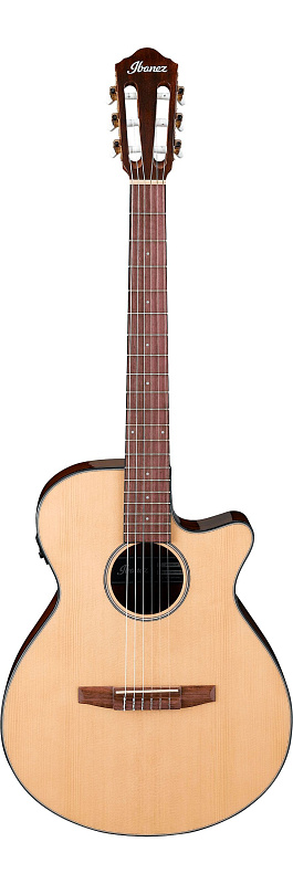 Фото IBANEZ AEG50N-NT