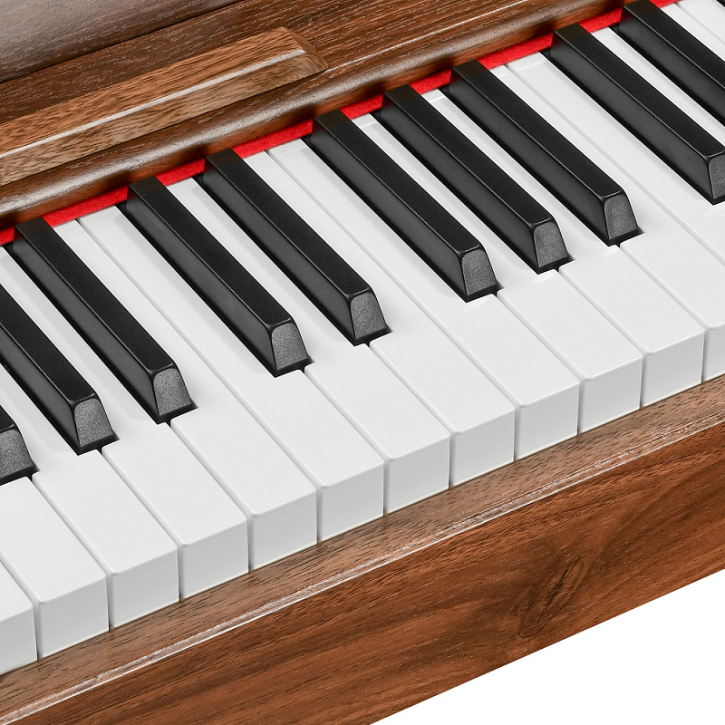 Фото Цифровое фортепиано EMILY PIANO D-47 Walnut