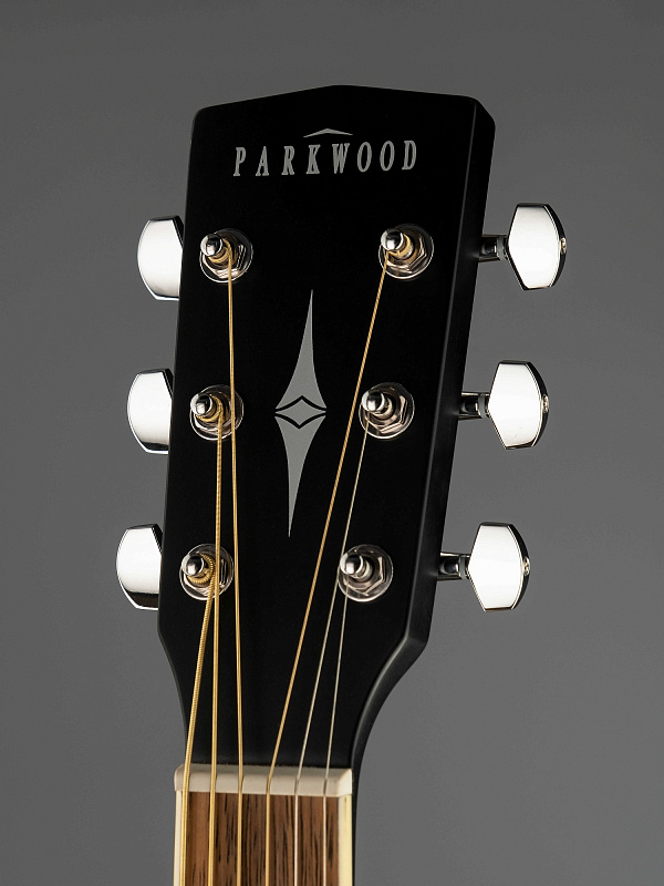Фото Акустическая гитара Parkwood PF51-WBAG-BKS