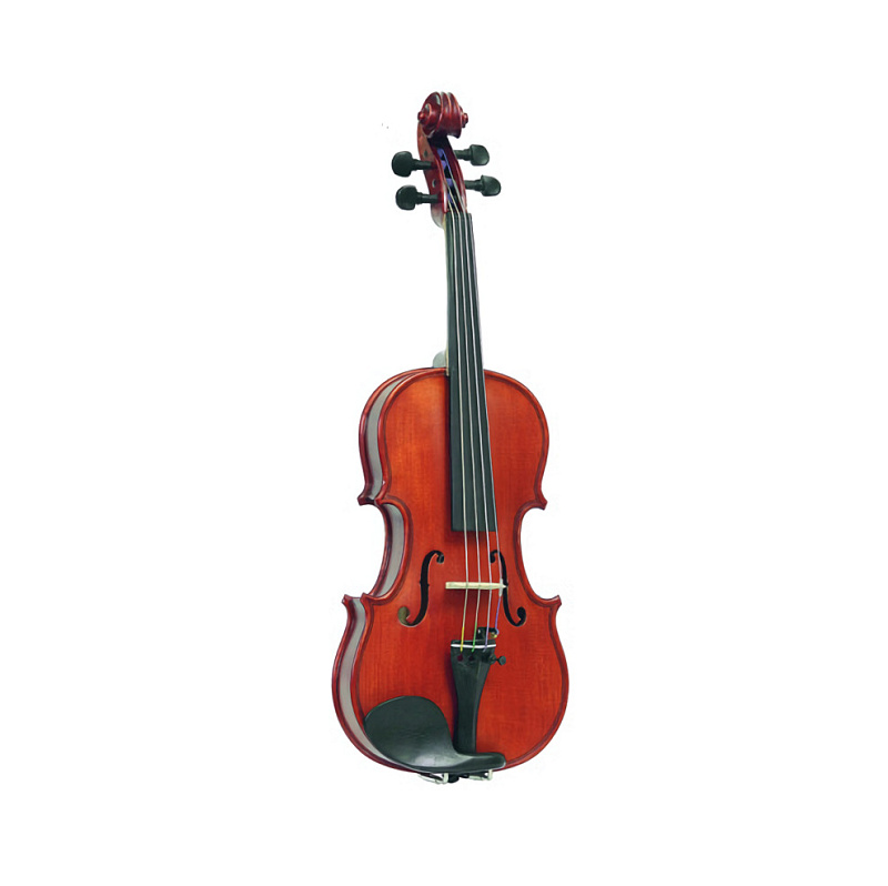 Фото Скрипка Gliga PU-V044-OH Professional Gama Unique Ash