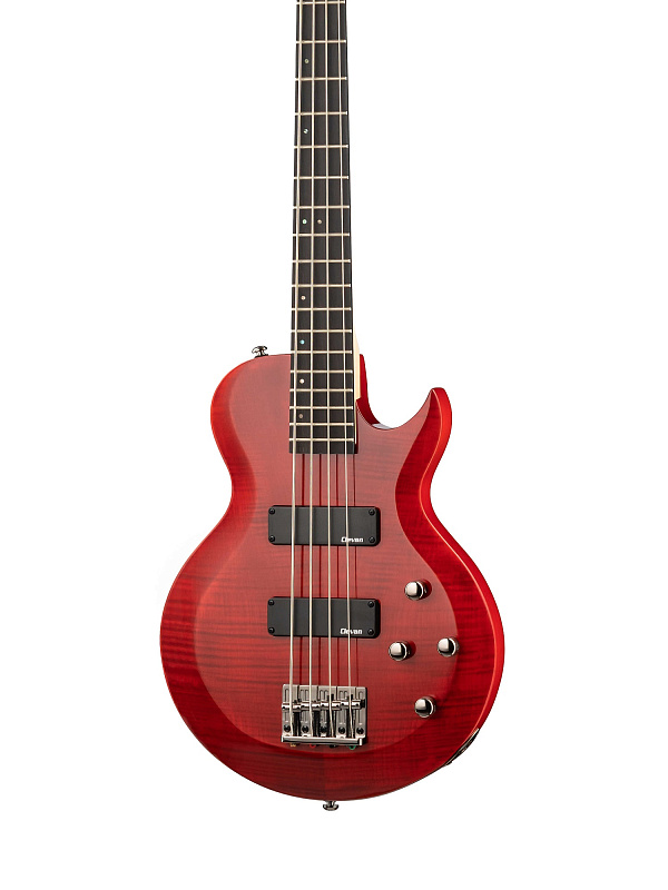 Фото Бас-гитара Clevan CPB-52F-BCH
