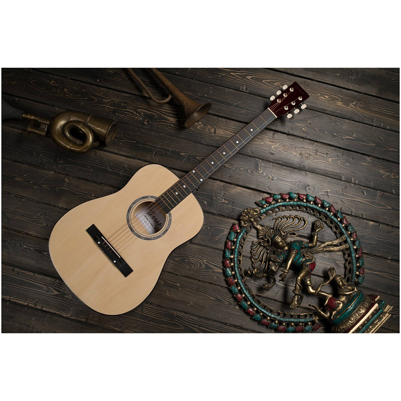 Фото Акустическая гитара TERRIS TF-380A NA