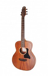 Акустическая гитара Travel Caraya P304111