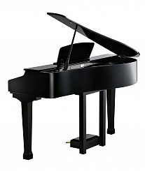 Цифровой рояль Kurzweil KAG100 EP, цвет чёрный