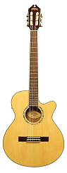 WASHBURN EACT12