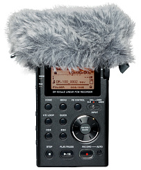 Tascam WS-11