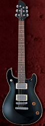 Fernandes APG60 BLK