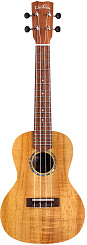 CORDOBA 28C CONCERT UKULELE HAWAIIAN KOA 