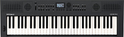 Цифровые пианино Roland GO:KEYS-5-GT