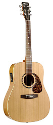 Norman PROTEGE B18 CEDAR PRESYS