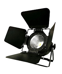 ESTRADA PRO LED PAR COB 100