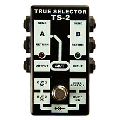 Пассивный двухканальный коммутатор (селектор), AMT Electronics TS-2 TRUE SELECTOR