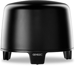 Активный сабвуфер Genelec F Two BMM