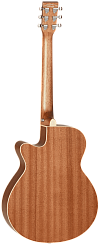 Электроакустическая гитара TANGLEWOOD TW9 E