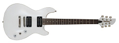 FERNANDES APG STANDARD SW