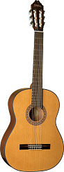 Washburn C40