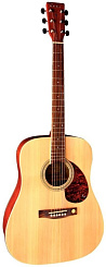 TENSON D10 Dreadnought Natural (F501310)