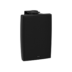 Всепогодная акустическая система TANNOY DVS 4T