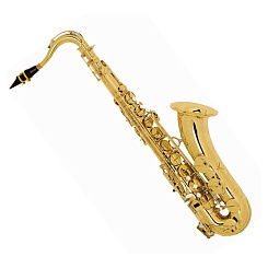 Саксофон тенор Вb SELMER Super Action 80 SERIE II (SA80II-VO)