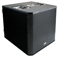 Peavey RBN 118 Sub