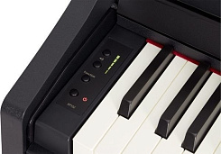 Roland RP102-BK