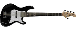 FERNANDES R5X BLK