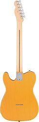 FENDER AM PRO TELE MN BTB (ASH)