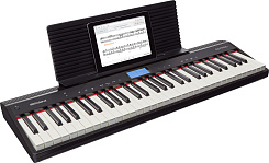 Roland GO-61P