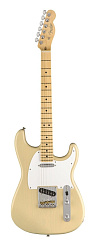 FENDER WHITEGUARD STRATOCASTER MN VBL